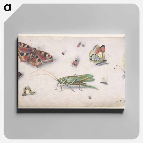 アートパネル-Insects and Butterflies
 - ヤン ファン ケッセル Canvas.