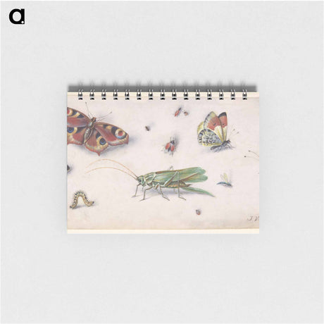 アートメモ帳-Insects and Butterflies
 - ヤン ファン ケッセル Memo.