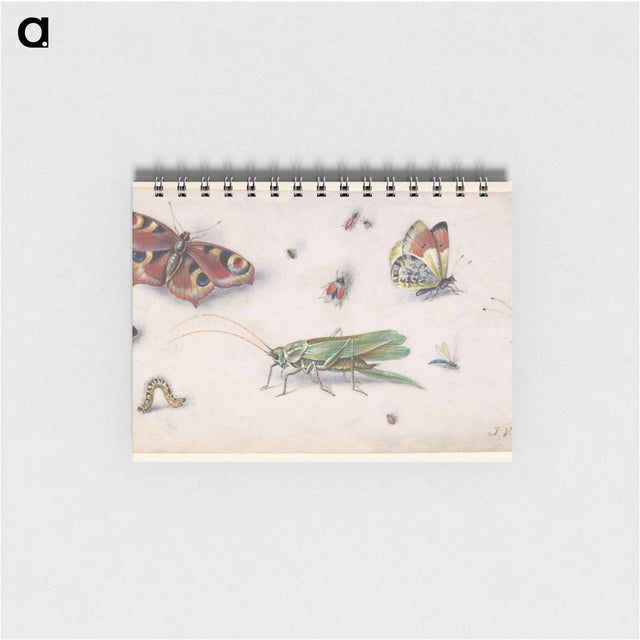 アートメモ帳-Insects and Butterflies
 - ヤン ファン ケッセル Memo.