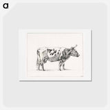 アートポストカード-Standing cow - ジャン ベルナール Postcard.