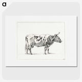 1-20_Jean-Bernard_picture