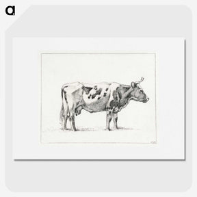 1-20_Jean-Bernard_picture