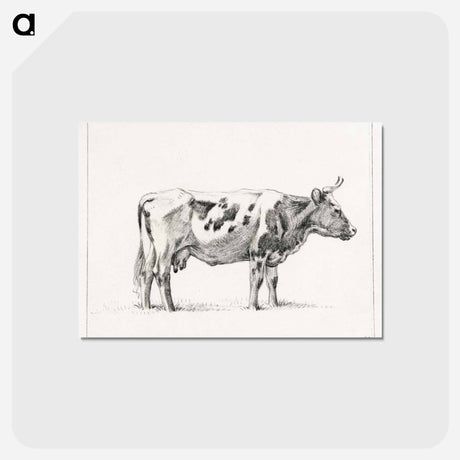 アートポストカード-Standing cow - ジャン ベルナール Postcard.