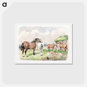 アートポストカード-Five Horses near a Brook
 - ジョン フレデリック ヘリング Postcard.