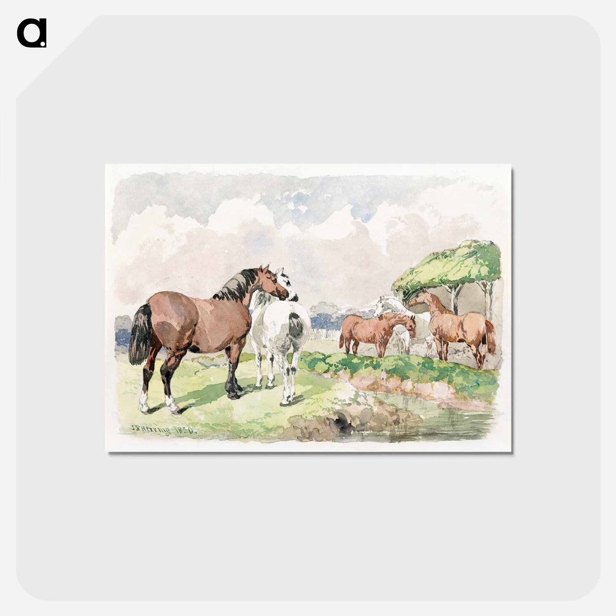 Five Horses near a Brook
 - ジョン フレデリック ヘリング Postcard.
