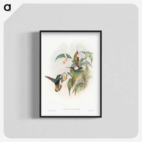 1-20_John-Gould_blk-crop