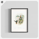1-20_John-Gould_blk