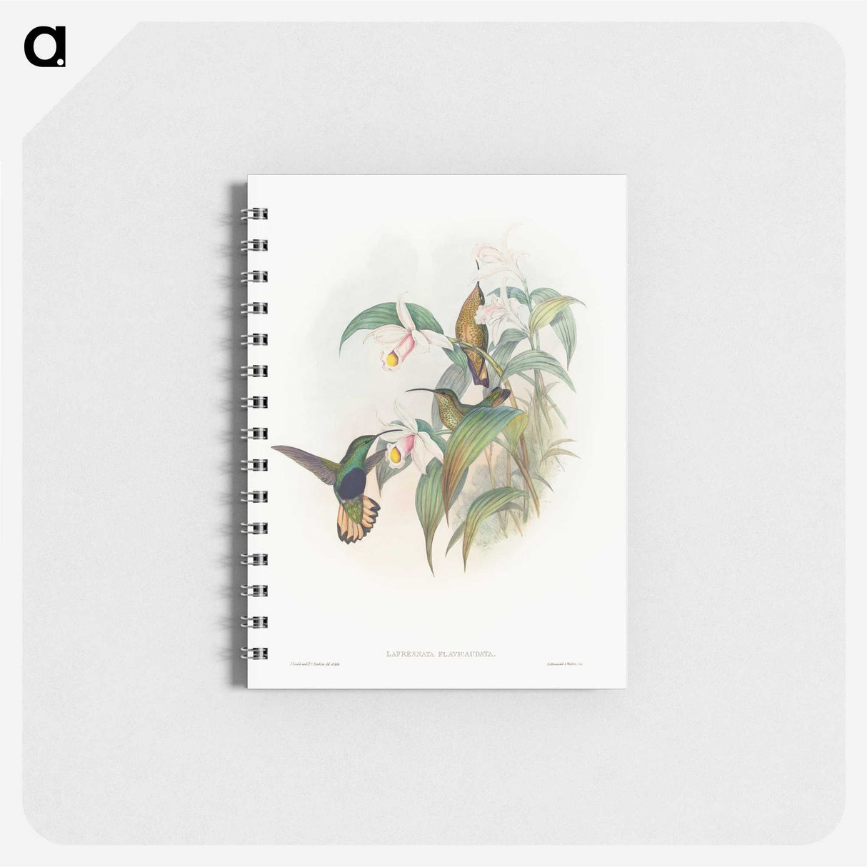 1-20_John-Gould_memo