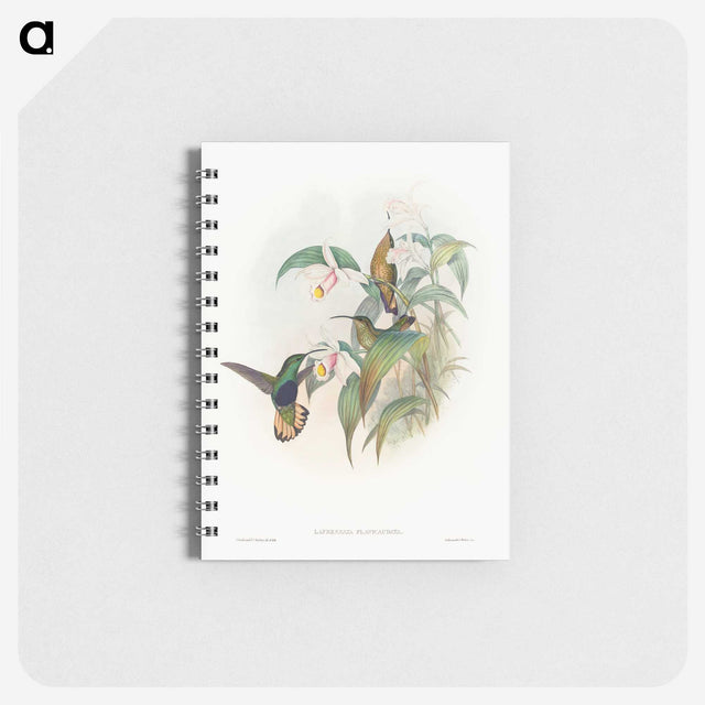 1-20_John-Gould_memo