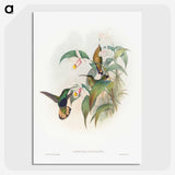 1-20_John-Gould_picture-crop