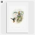 1-20_John-Gould_picture