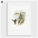 1-20_John-Gould_picture