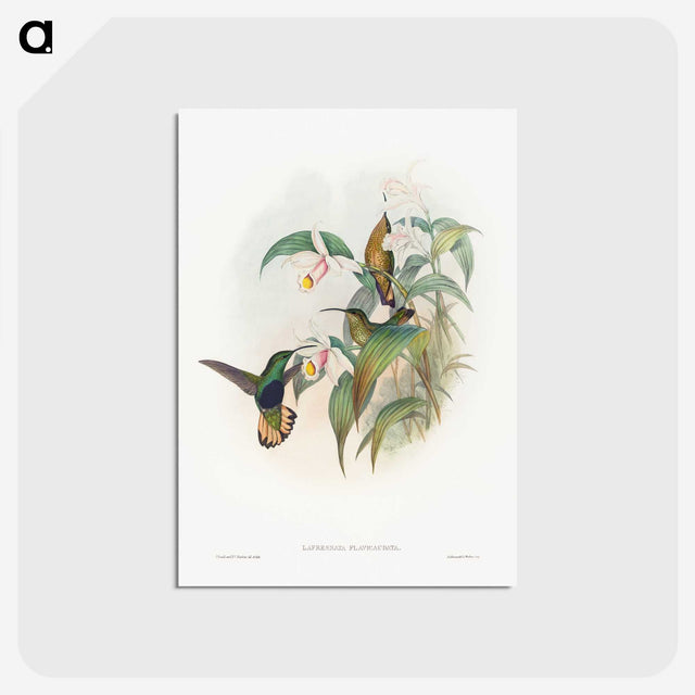 1-20_John-Gould_postcard