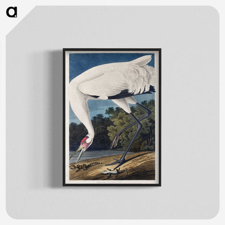 1-20_John-James-Audubon_blk-crop