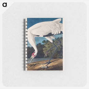 アートメモ帳-Hooping Crane
 - ジョン ジェームス オーデュボン Memo.