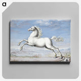 1-20_Joris-Hoefnagel_canvas