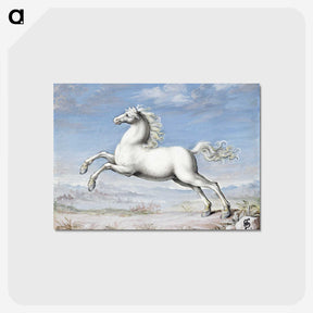 1-20_Joris-Hoefnagel_postcard