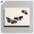 アートパネル-Japanese butterfly - 神坂 雪佳 Canvas.
