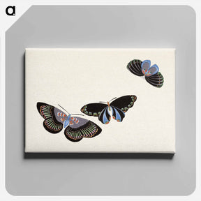 アートパネル-Japanese butterfly - 神坂 雪佳 Canvas.