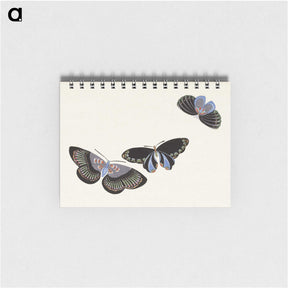 1-20_Kamisaka-Sekka_memo