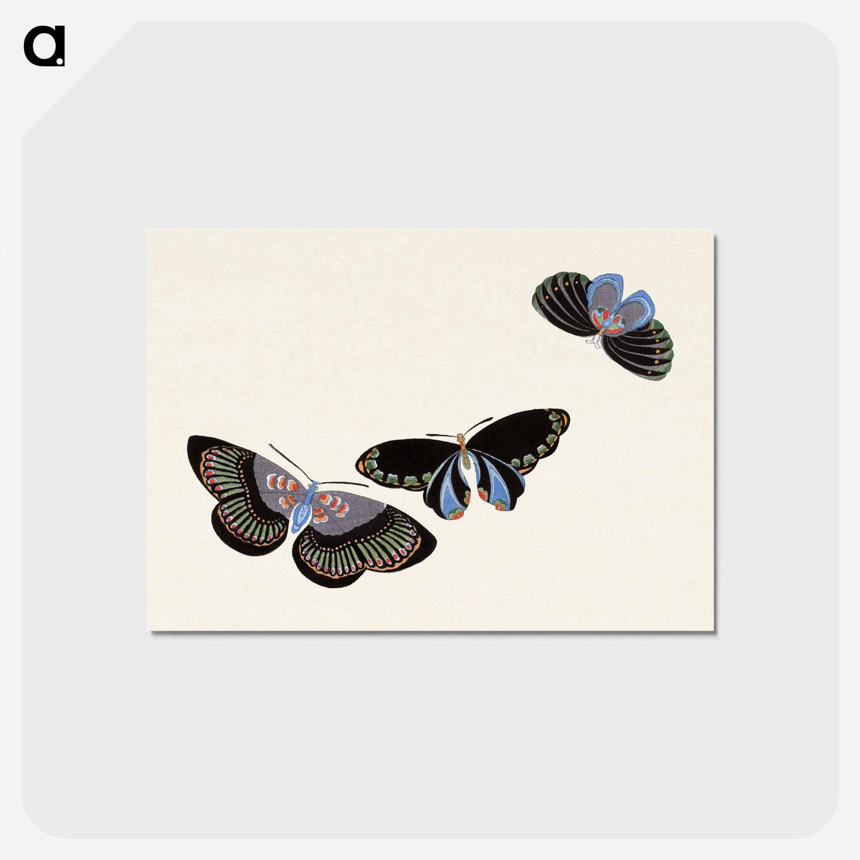 アートポストカード-Japanese butterfly - 神坂 雪佳 Postcard.