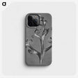 1-20_Karl-Blossfeldt_phone