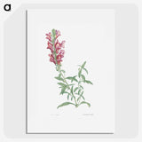 1-20_La-Botanique_picture