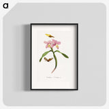 1-20_Le-Jardin-des-Plantes_blk