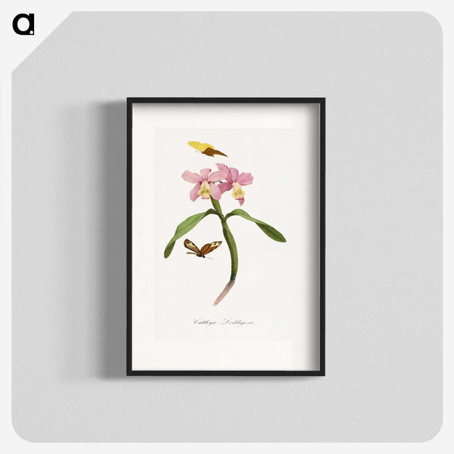 1-20_Le-Jardin-des-Plantes_blk