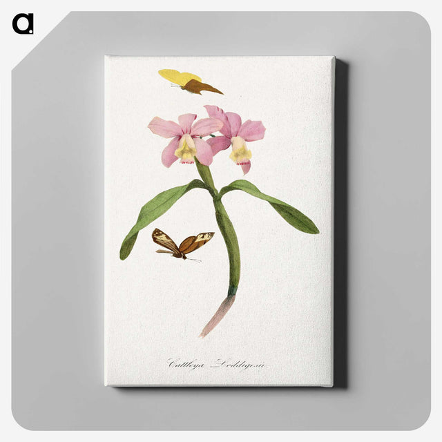 1-20_Le-Jardin-des-Plantes_canvas