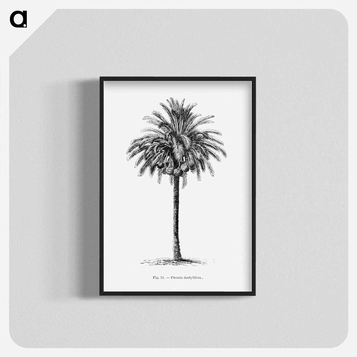 1-20_Les-Palmiers-Histoire-Iconographique_blk-crop