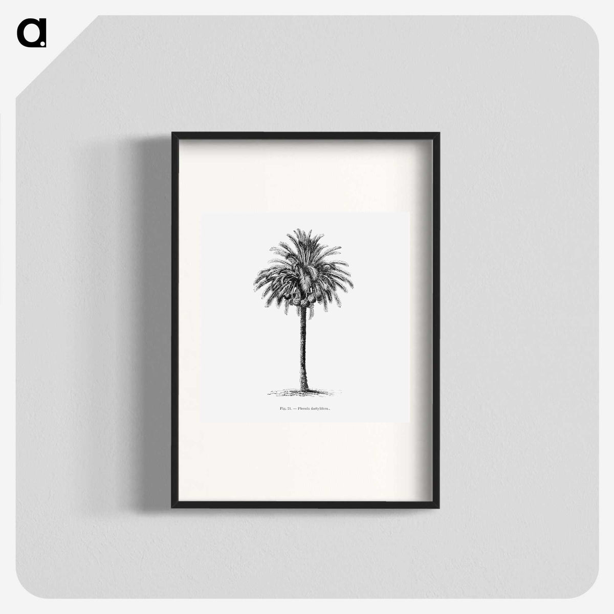 1-20_Les-Palmiers-Histoire-Iconographique_blk