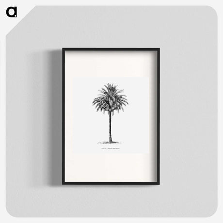 1-20_Les-Palmiers-Histoire-Iconographique_blk