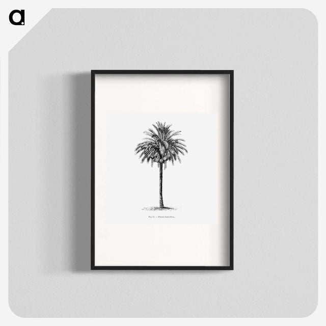 1-20_Les-Palmiers-Histoire-Iconographique_blk