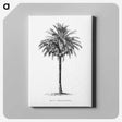 1-20_Les-Palmiers-Histoire-Iconographique_canvas