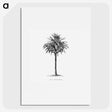 1-20_Les-Palmiers-Histoire-Iconographique_picture