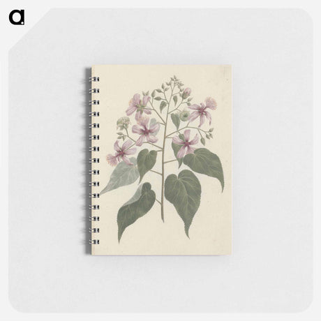 アートメモ帳-Abutilon longicuspe
 - ルイージ バルガーニ Memo.