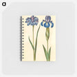アートメモ帳-Siberian and English Irises
 - マリア ジビーラ メーリアン Memo.