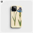 1-20_Maria-Sibylla-Merian_phone