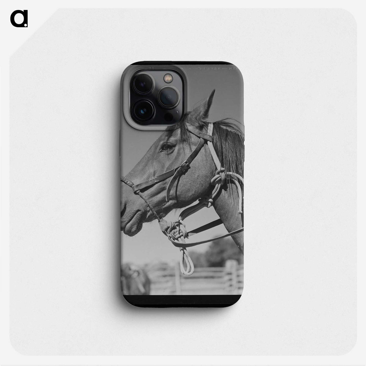 1-20_Marion-Post-Wolcott_phone