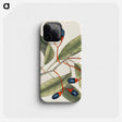 1-20_Mark-Catesby_phone