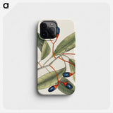 1-20_Mark-Catesby_phone