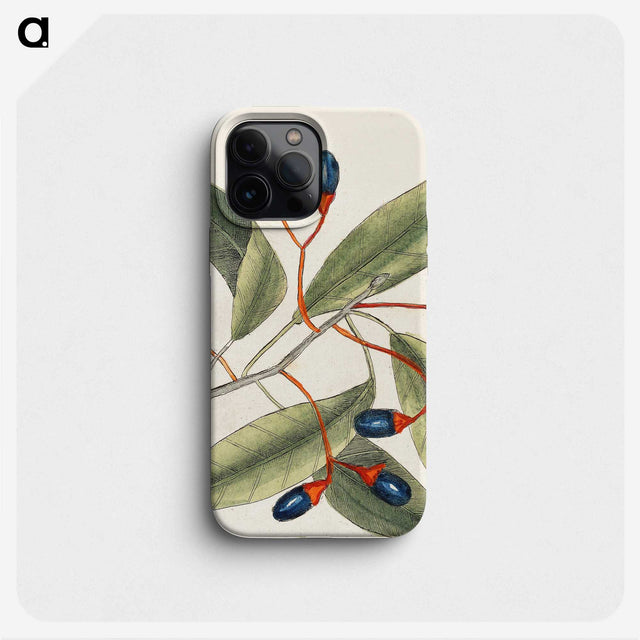 1-20_Mark-Catesby_phone