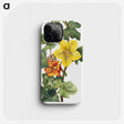 1-20_Mary-Vaux-Walcott_phone