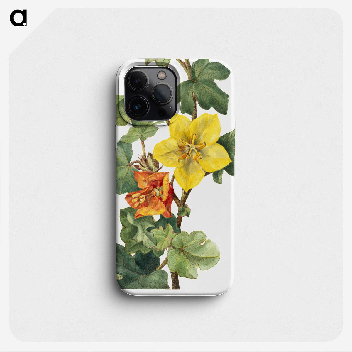 1-20_Mary-Vaux-Walcott_phone