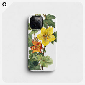 1-20_Mary-Vaux-Walcott_phone