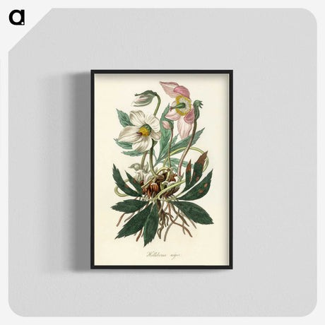 1-20_Medical-Botany_blk-crop