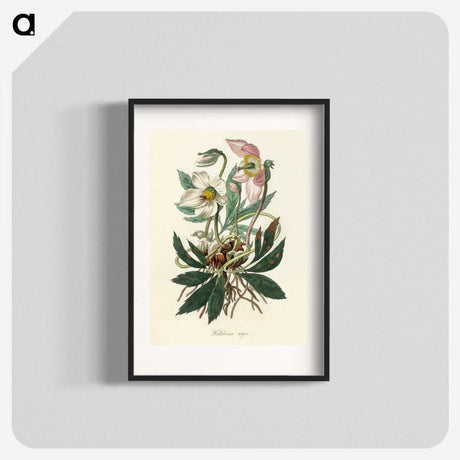 1-20_Medical-Botany_blk