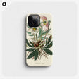 1-20_Medical-Botany_phone