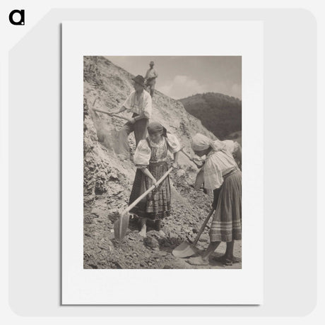 1-20_Milos-Dohnany_picture